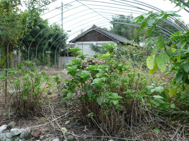 佐賀市大和町＠500坪