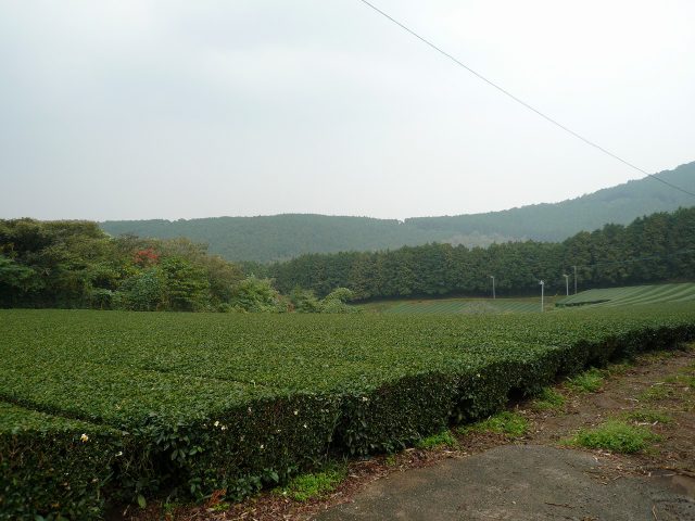 藤津郡太良町＠4,000坪