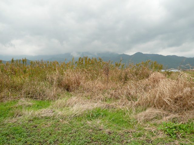 小城市三日月町＠1,200坪